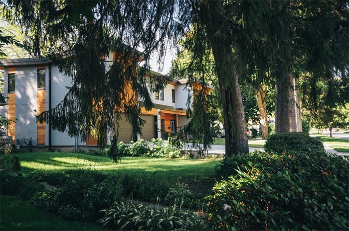 Driveway near large trees 