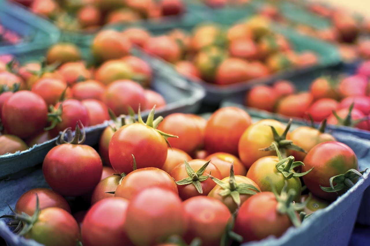 Perishable tomatoes